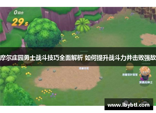 摩尔庄园勇士战斗技巧全面解析 如何提升战斗力并击败强敌